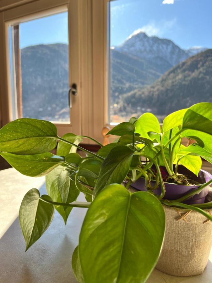 Residenze Vezza - Sweet Home- *